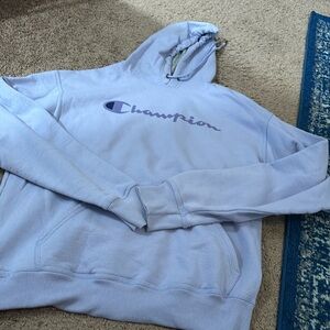 Purple champion hoodie
